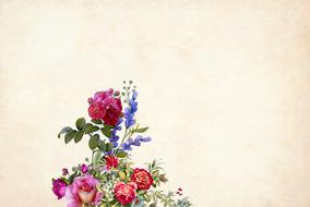 vintage floral background, border