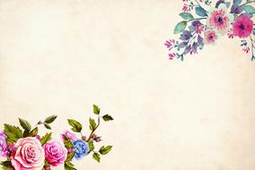 flower background pink floral border