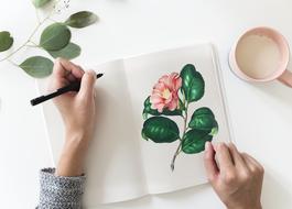 Woman Hand flowers drawing