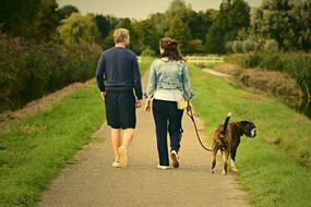 Couple of peopl is walking with the dog on the landscape