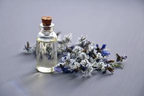cosmetic oil for natural cosmetics