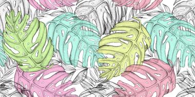 leaves tropical nature drawing