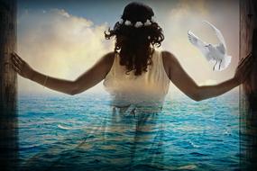 silhouette of a girl on the background of the sea