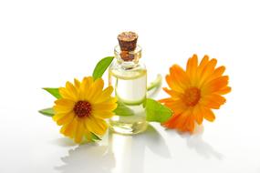 Essential Oil Cosmetology