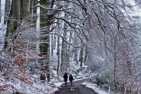 Couple is walking in the forest on the snowy landscape
