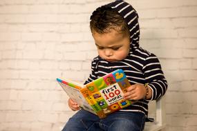 Toddler Reading book