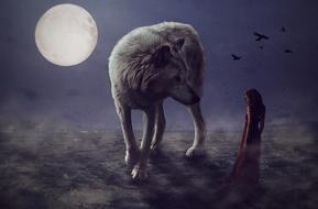 lonely Wolf at full moon night, digital art