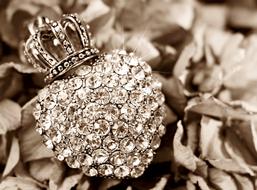 Heart Crown Hydrangea flower