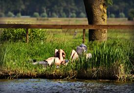 a couple of people sunbathe on the river