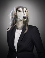 Portrait of Dog Animal in suit