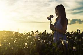 Model Weed flowers Field