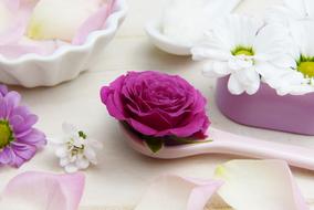 skin care, still life, flowers and bio cosmetic