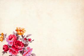 Beautiful and colorful, vintage drawing of the flowers, with the border, clipart