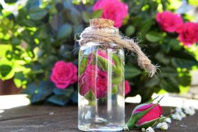 Rose buds in jar outdoor, natural cosmetics