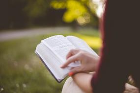 girl reads a book in the park