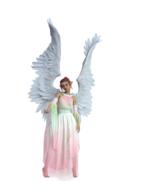 Beautiful woman angel with white wings, in colorful dress, on clipart