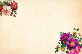 clipart of flower watercolor floral background