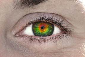 closeup view of colorful bright eye