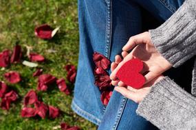 ValentineS Day Love heart hand