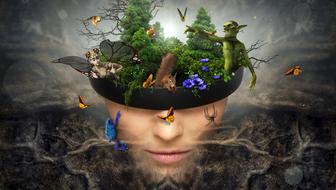 drawn mystical animals in the head o