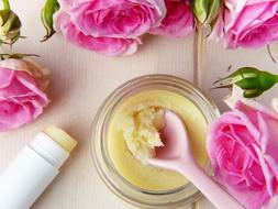 cream of pink rose petals