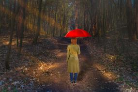 woman in the forest with red umbrella