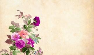 retro-styled wallpaper with flowers