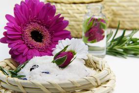 still life with gerbera and sea salt