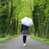 Back view of a girl with white and blue umbrella walking on the beautiful path among the green trees