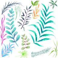 watercolor leaves colors drawing