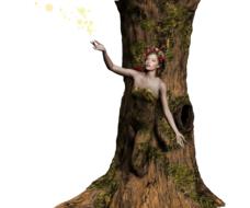 clipart of fantasy woman tree