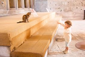 child and cat