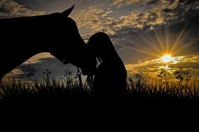 silhouette of a woman with horse