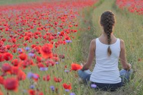 Yoga exercising girl on Poppies Field