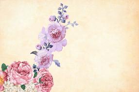 clipart of flower background watercolor