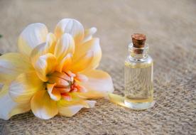 white-yellow bud and a bottle of cosmetic oil