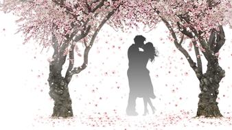 silhouette of a couple in love among flowering trees