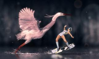 pink heron and surfing woman