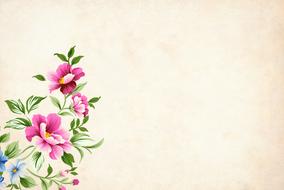 romantic flowers on pink background
