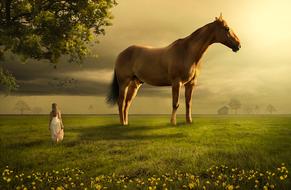 Horse Field and girl drawing