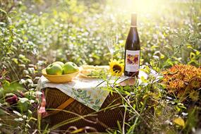 Beautiful picnic with the apples, other food and wine, among the colorful plants, in sunlight, in the autumn