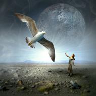 Gull and Woman in a mystical plot