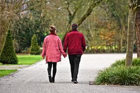 Back view of the girl and boy, walking on the beautiful path in the park, with the colorful plants