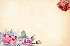 flower background watercolor illustration