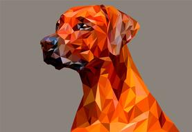 dog portrait with geometric pattern