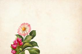 painted bright flowers and delicate chamomile