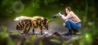 collage pictures of a girl and a bee close-up