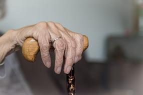 photo of an old woman's hand