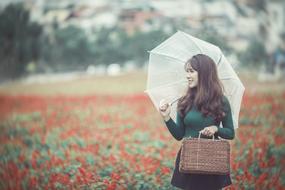 Vietnamese girl with umbrella on a flower field