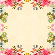 floral vintage frame drawing